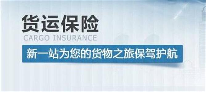 一般货物投保何种险种比较普通？